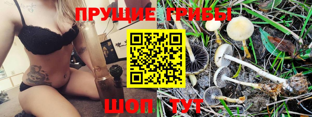 Галлюциногенные грибы мицелий Екатеринбург